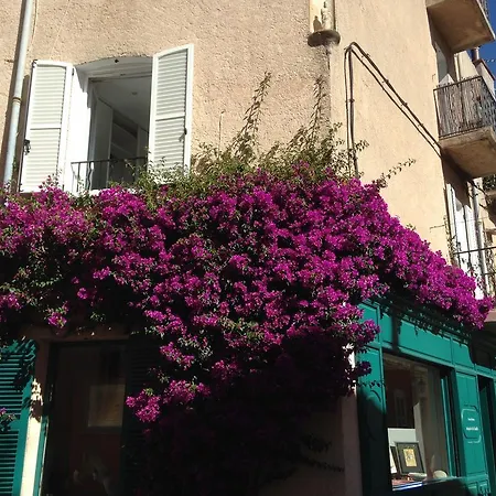 Apartman Studio Citadelle *